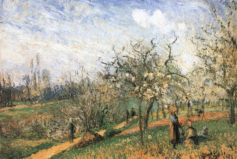 Camille Pissarro Pang map of apple Schwarz France oil painting art